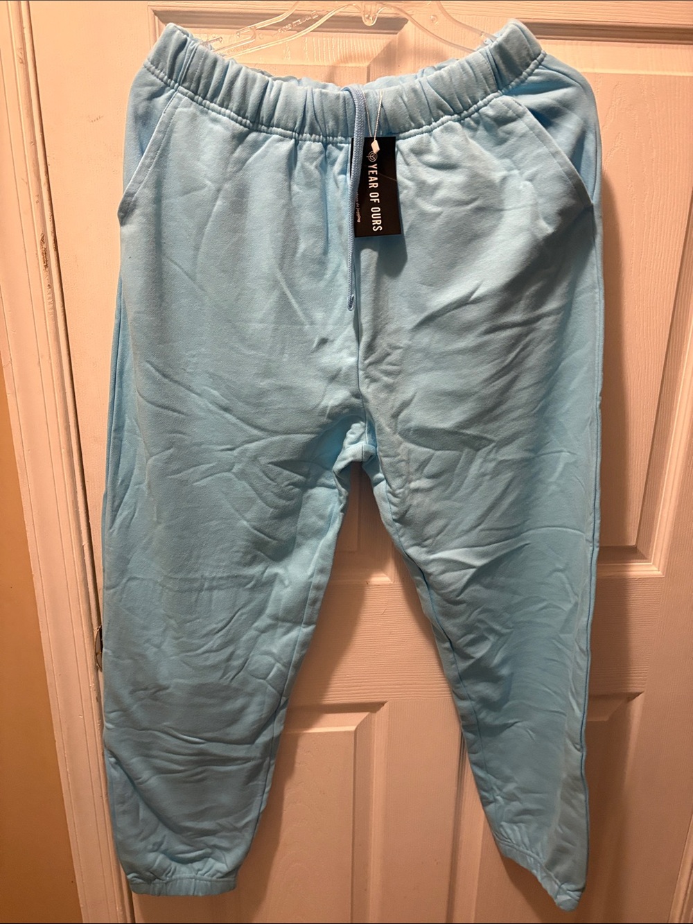 Year of Ours sky blue jogger sweat pants
